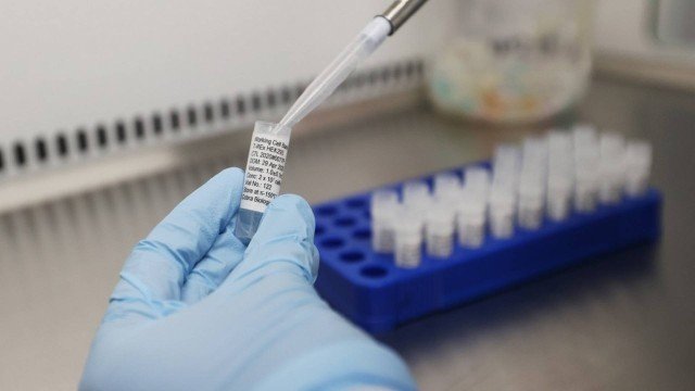 De olho na pandemia, governo dos EUA aprovam 2ª fase de testes para vacina contra o coronavírus