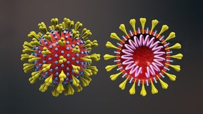 Brasil supera marca de 47,7 mil mortes por Covid e 978 mil casos confirmados