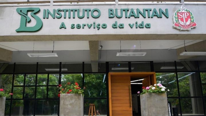 Butantan entrega 1,1 milhão de doses da CoronaVac e paralisa produção de vacinas