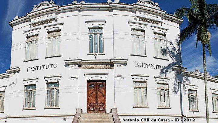 Instituto Butantan recebe autorização e vai iniciar os testes com o soro anticovid-19