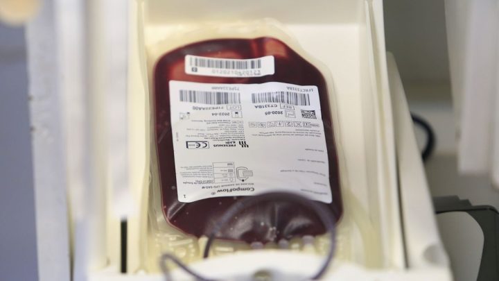 Ministério da Saúde e Anvisa atualizam regras para doação de sangue durante a pandemia